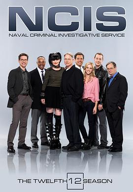 海军罪案调查处第十二季第15集