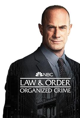 法律与秩序：组织犯罪第三季第13集