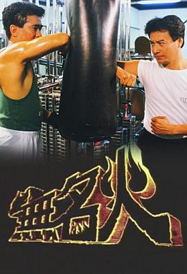 无名火国语第08集