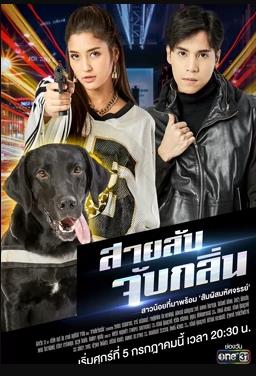 侦探K9普国语第17集(大结局)