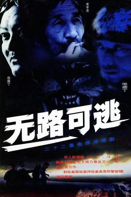 无路可逃2004第16集