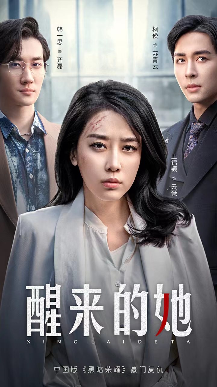 醒来的她第16集