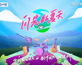 闪光的夏天先导片