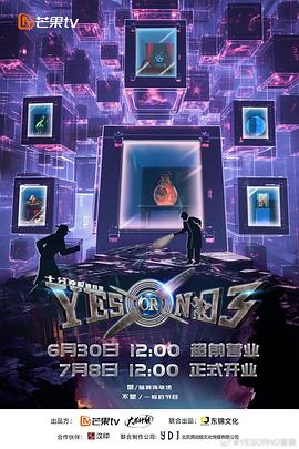 YES OR NO第三季第20240805期上