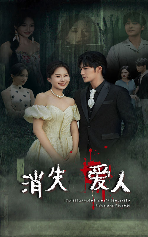 消失爱人短剧第17集
