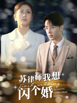 苏律师我想闪个婚第04集