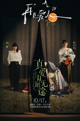 再见爱人第四季第20241017期上