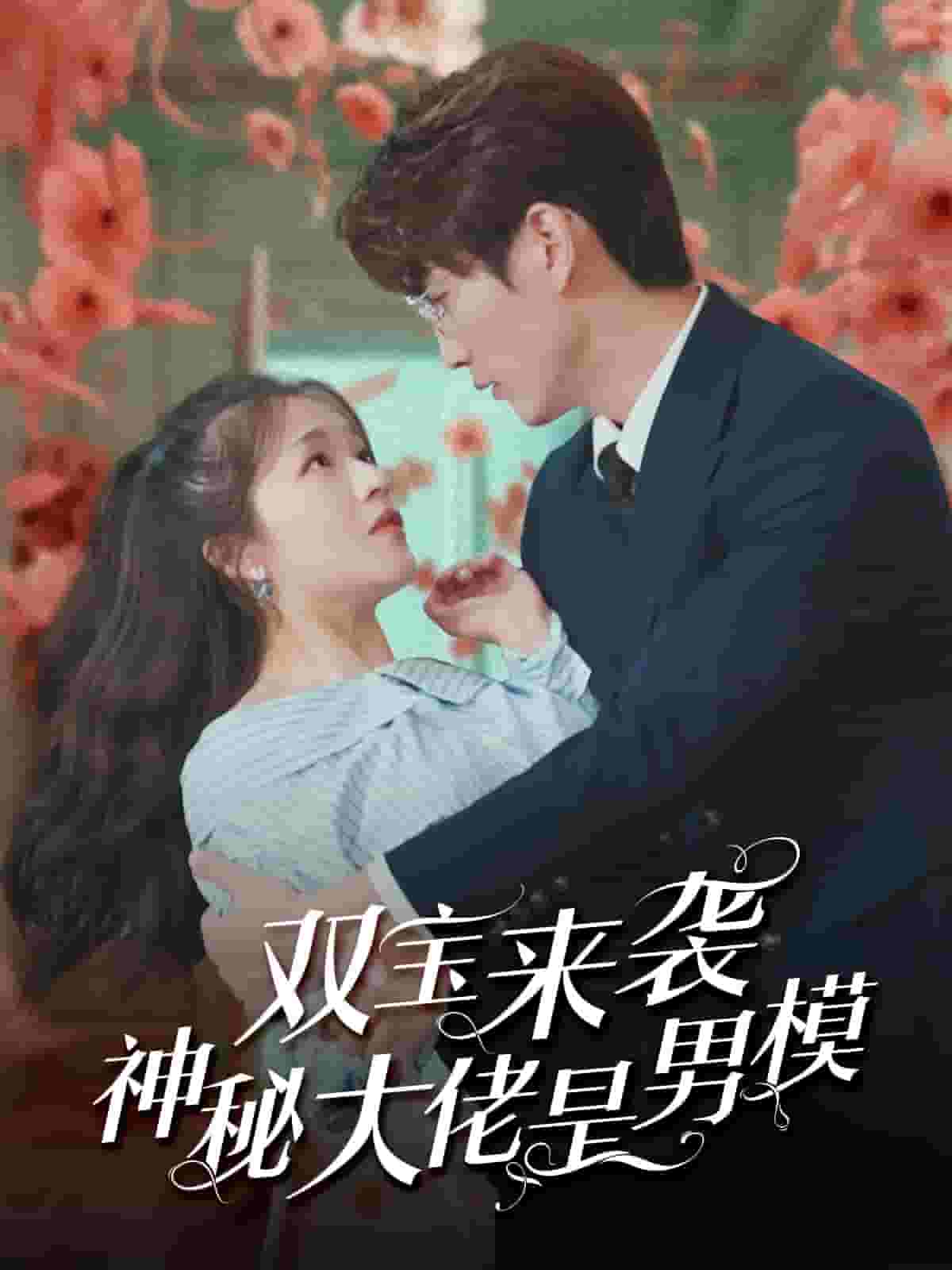 双宝来袭神秘大佬是男模第16集