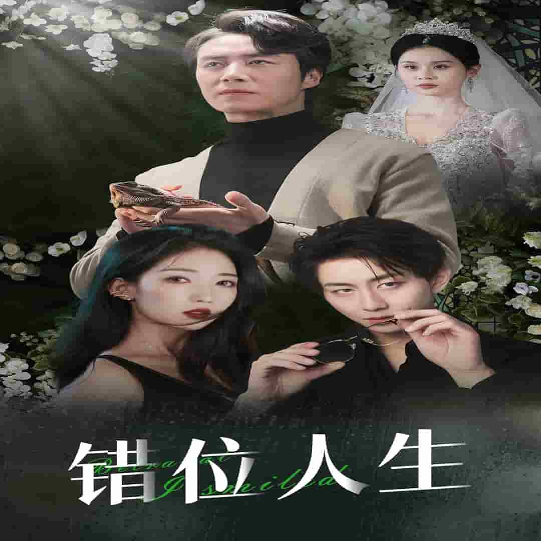 养大他人的儿子后我笑了第28集