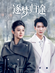逐梦归途第1集