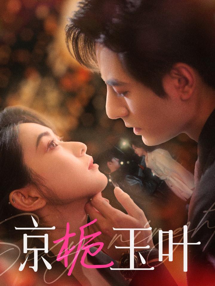 京栀玉叶第63集