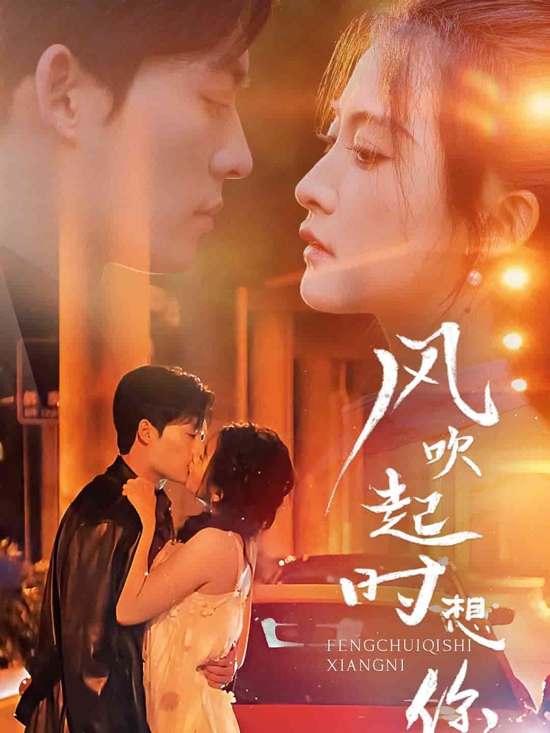 风吹起时想你第17集