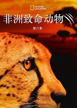 非洲致命动物第六季第01集