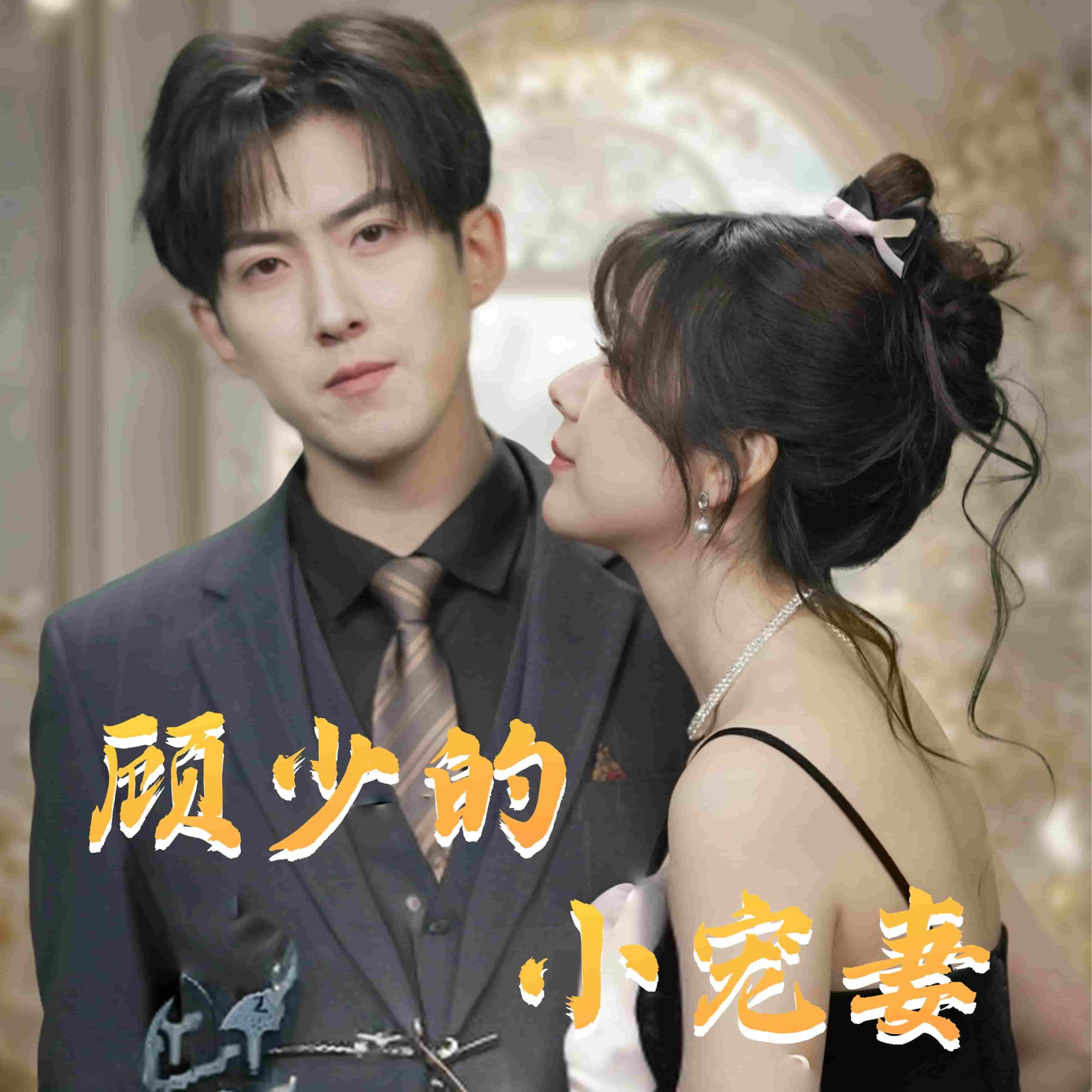 顾少的小宠妻第51集