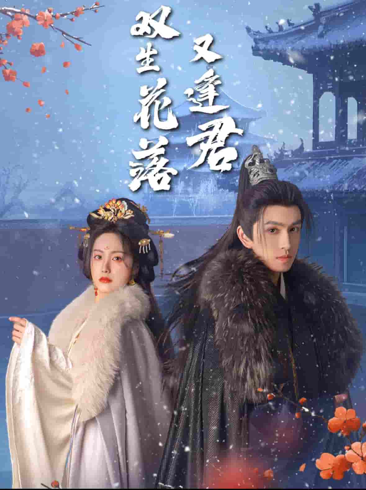 双生花落又逢君第50集