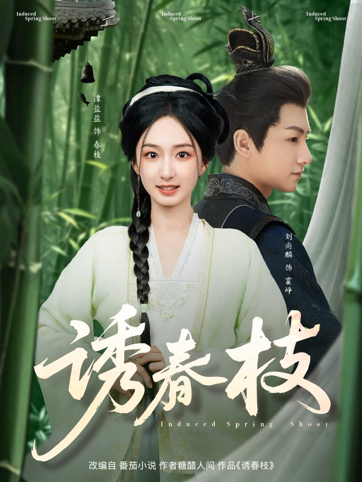 诱春枝第40集
