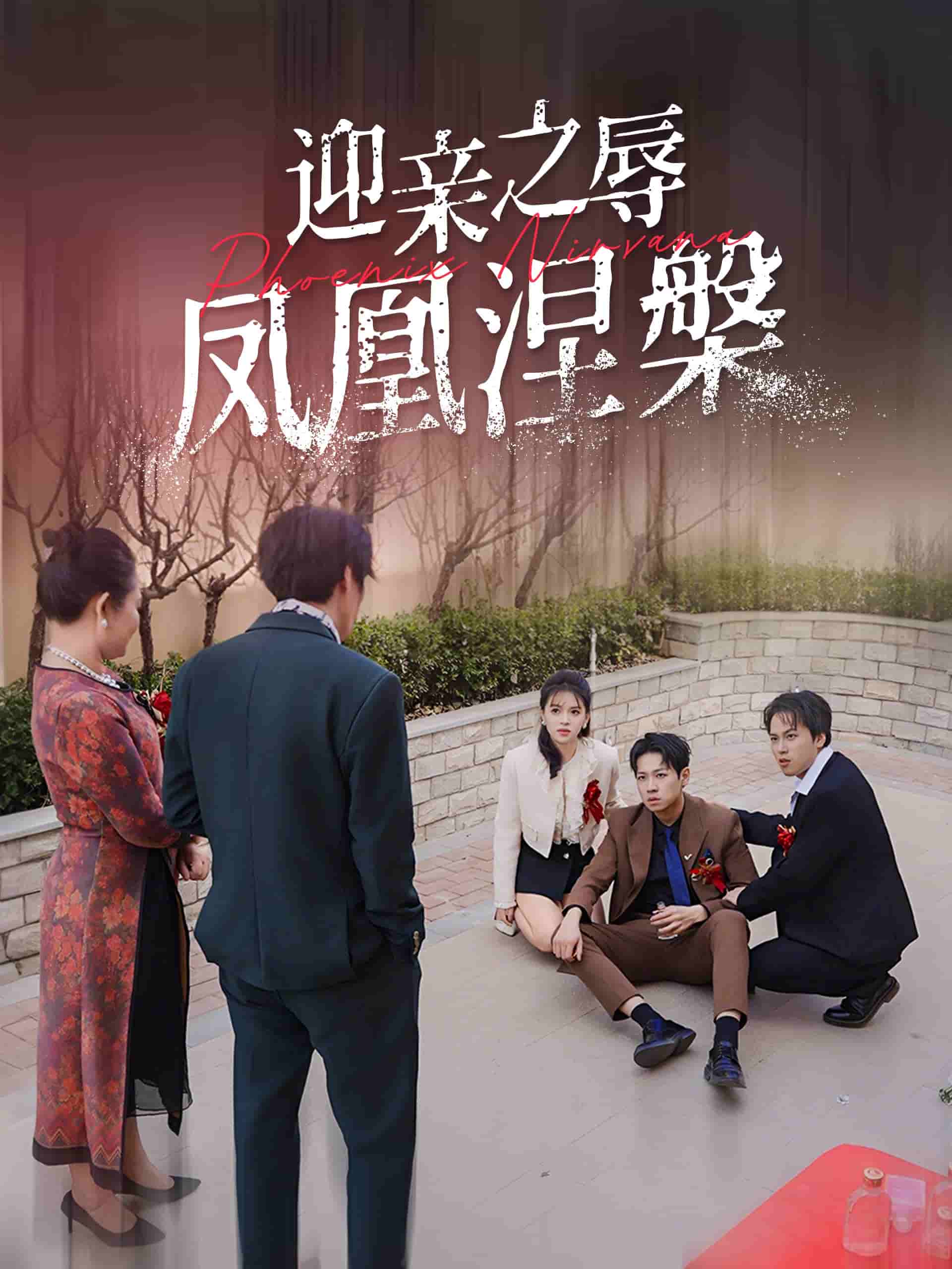 迎亲之辱凤凰涅槃第11集