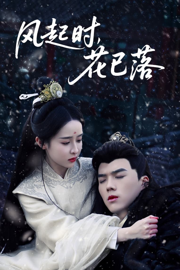 风起时，花已落第28集