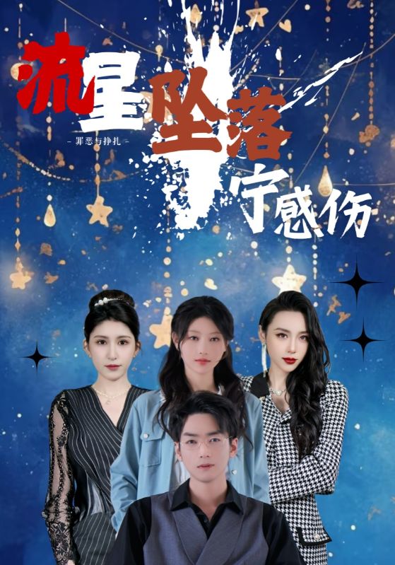 流星坠落宁感伤第7集