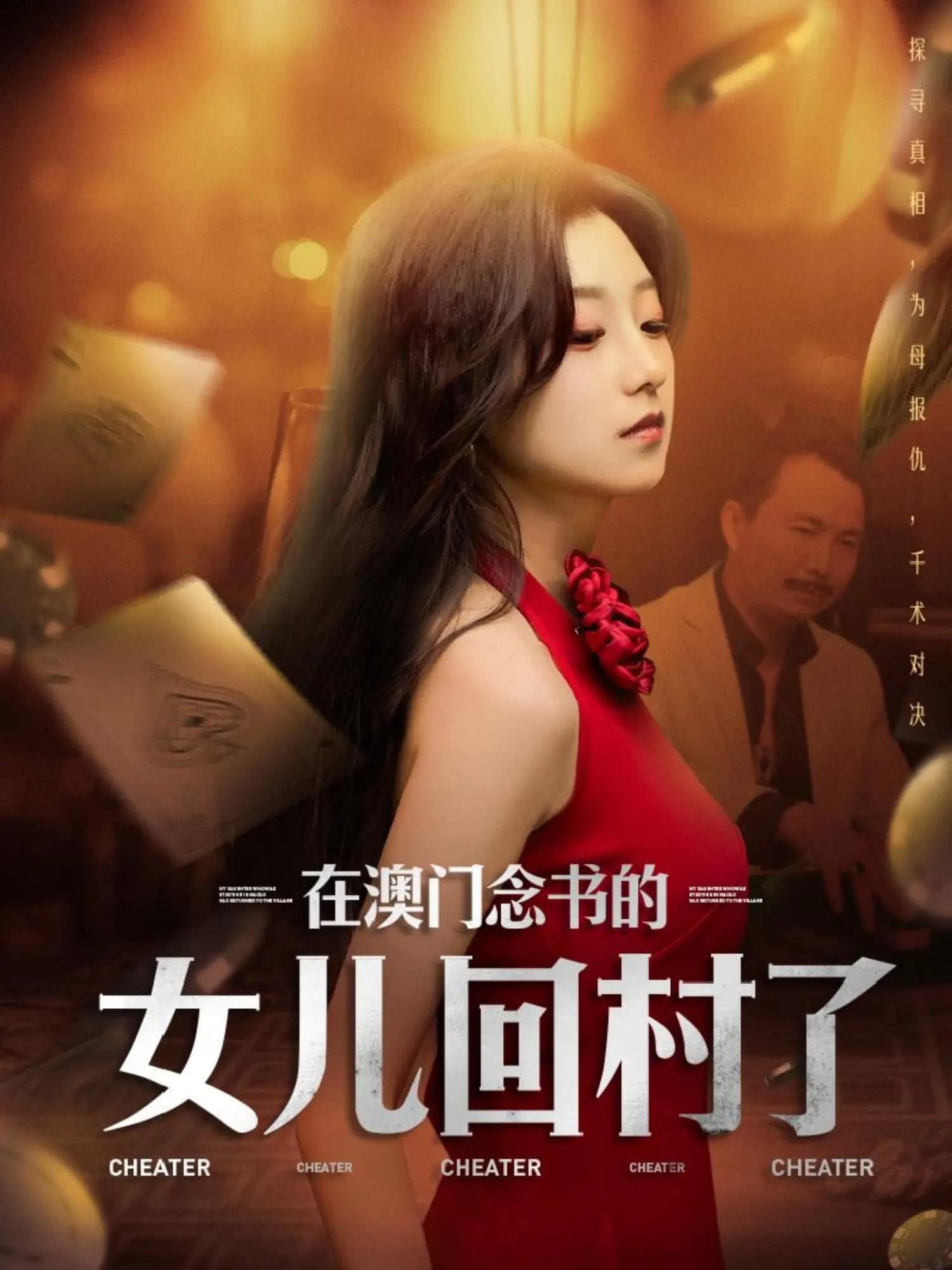 在澳门念书的女儿回村了第9集