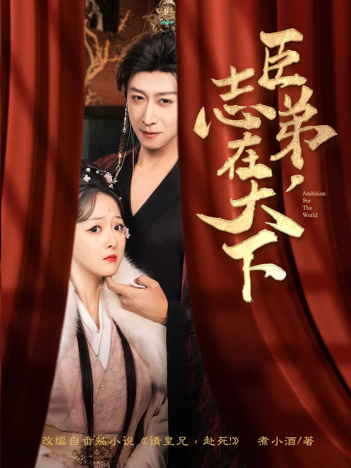 臣弟，志在天下第30集