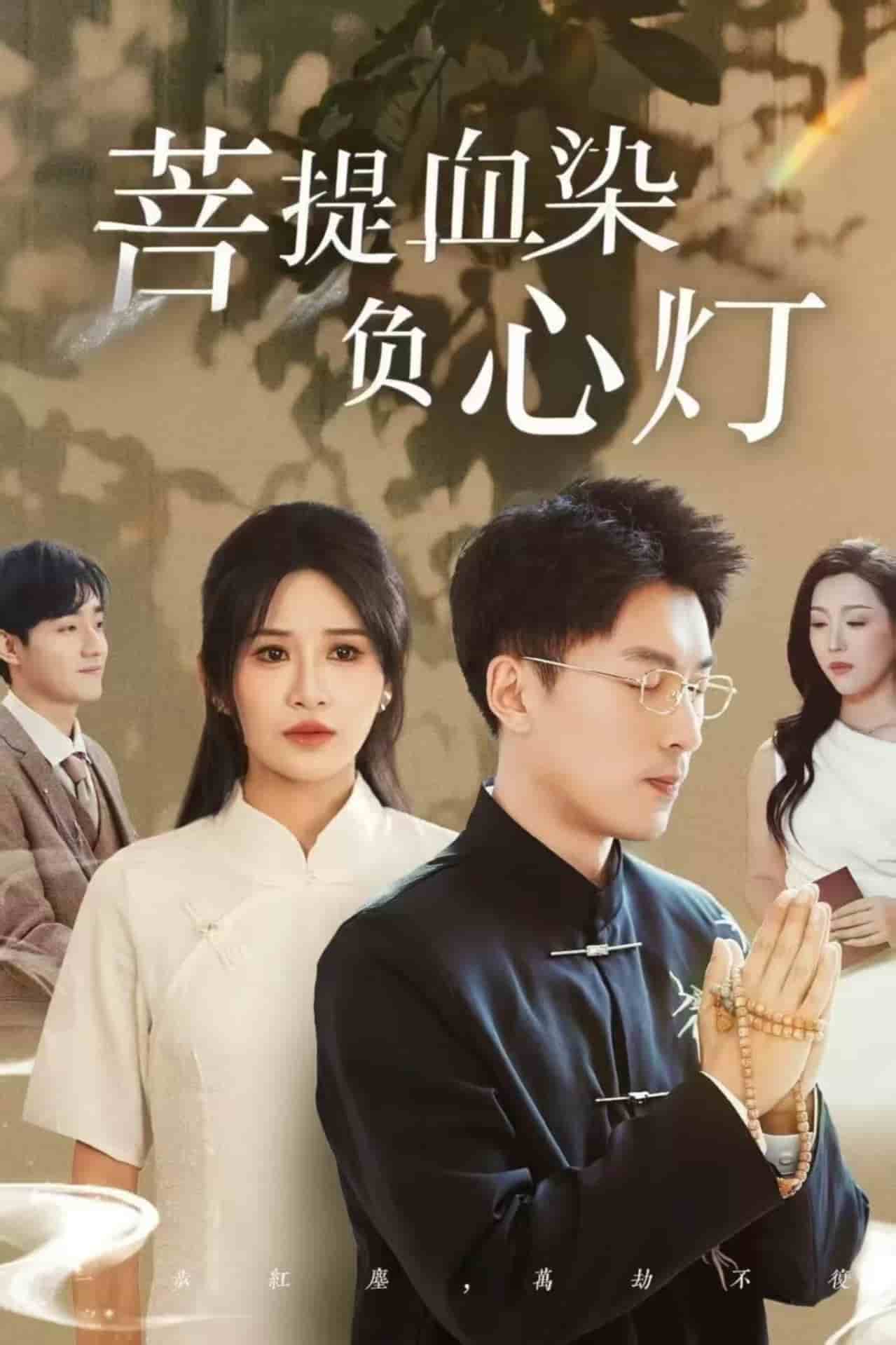 菩堤血染负心灯第12集