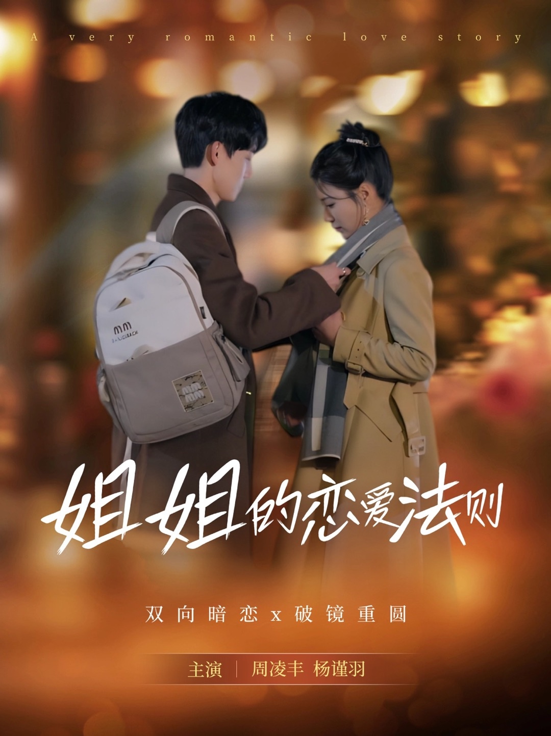 姐姐的恋爱法则第29集