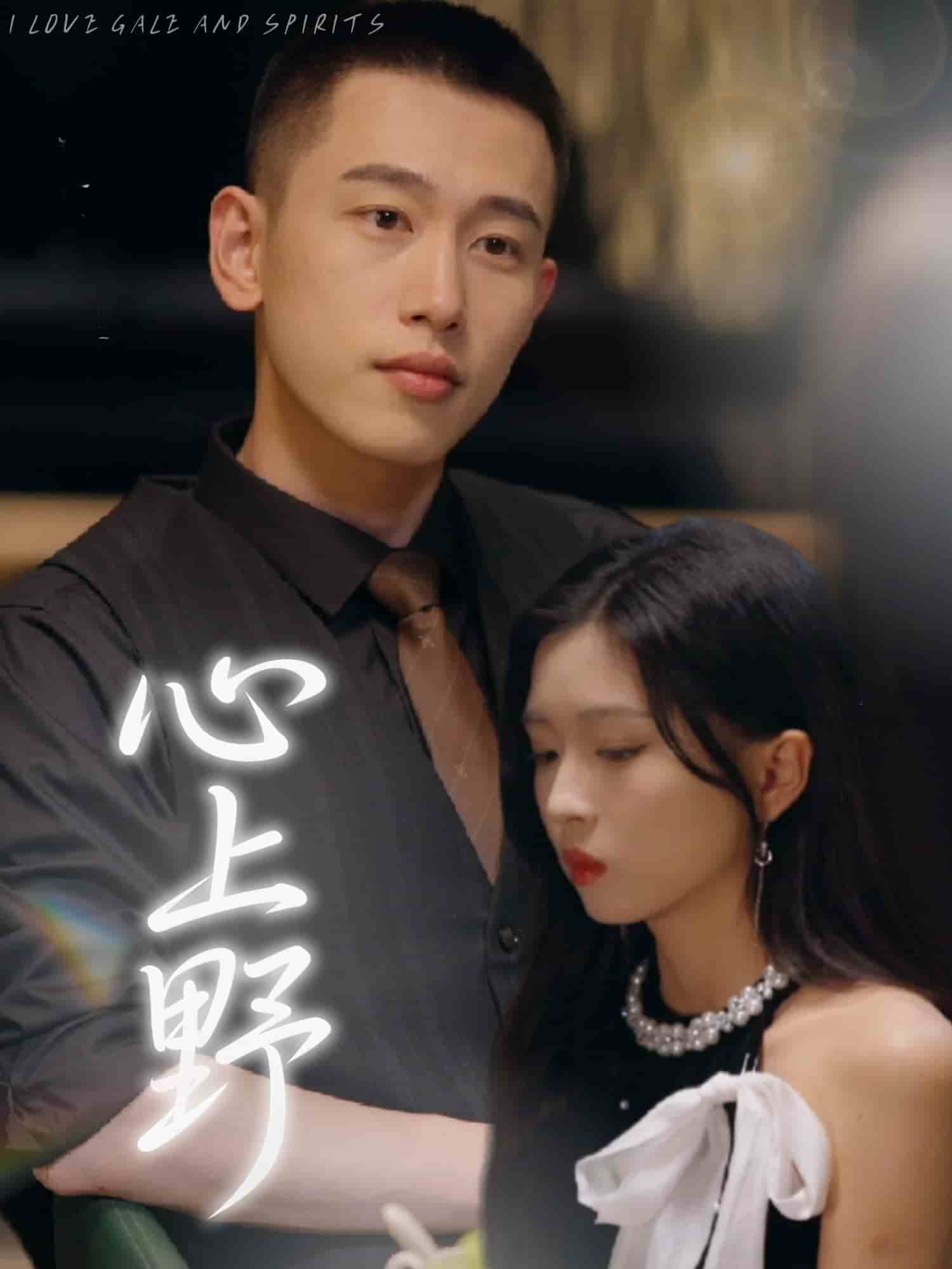 心上野第1集