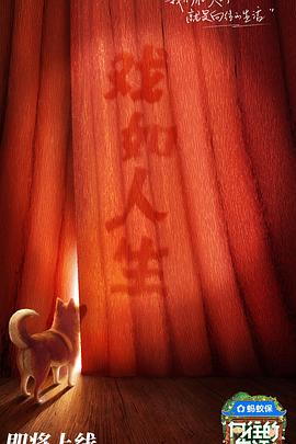 向往的生活第八季第20251012期