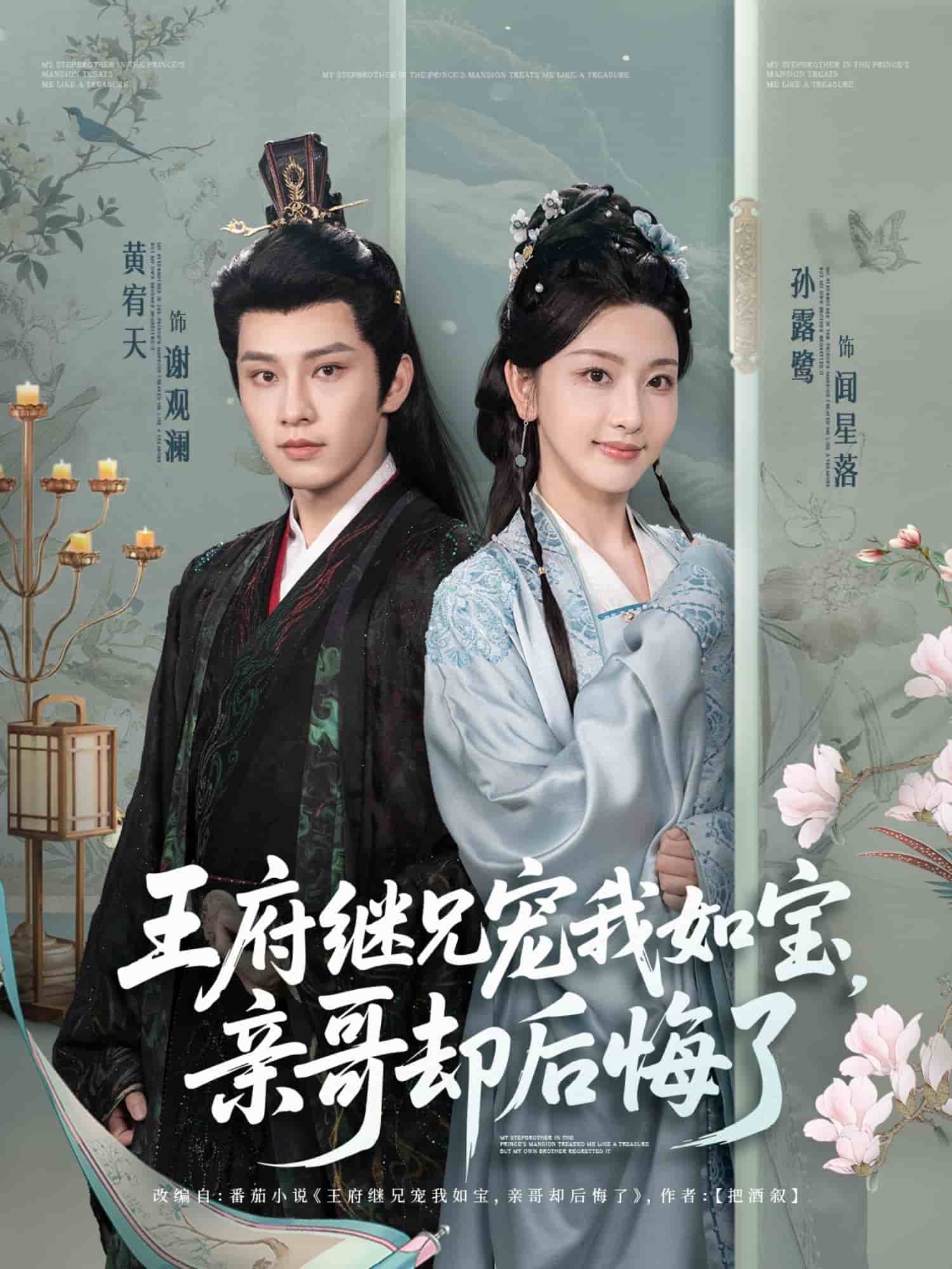 王府继兄宠我如宝，亲哥却后悔了第05集