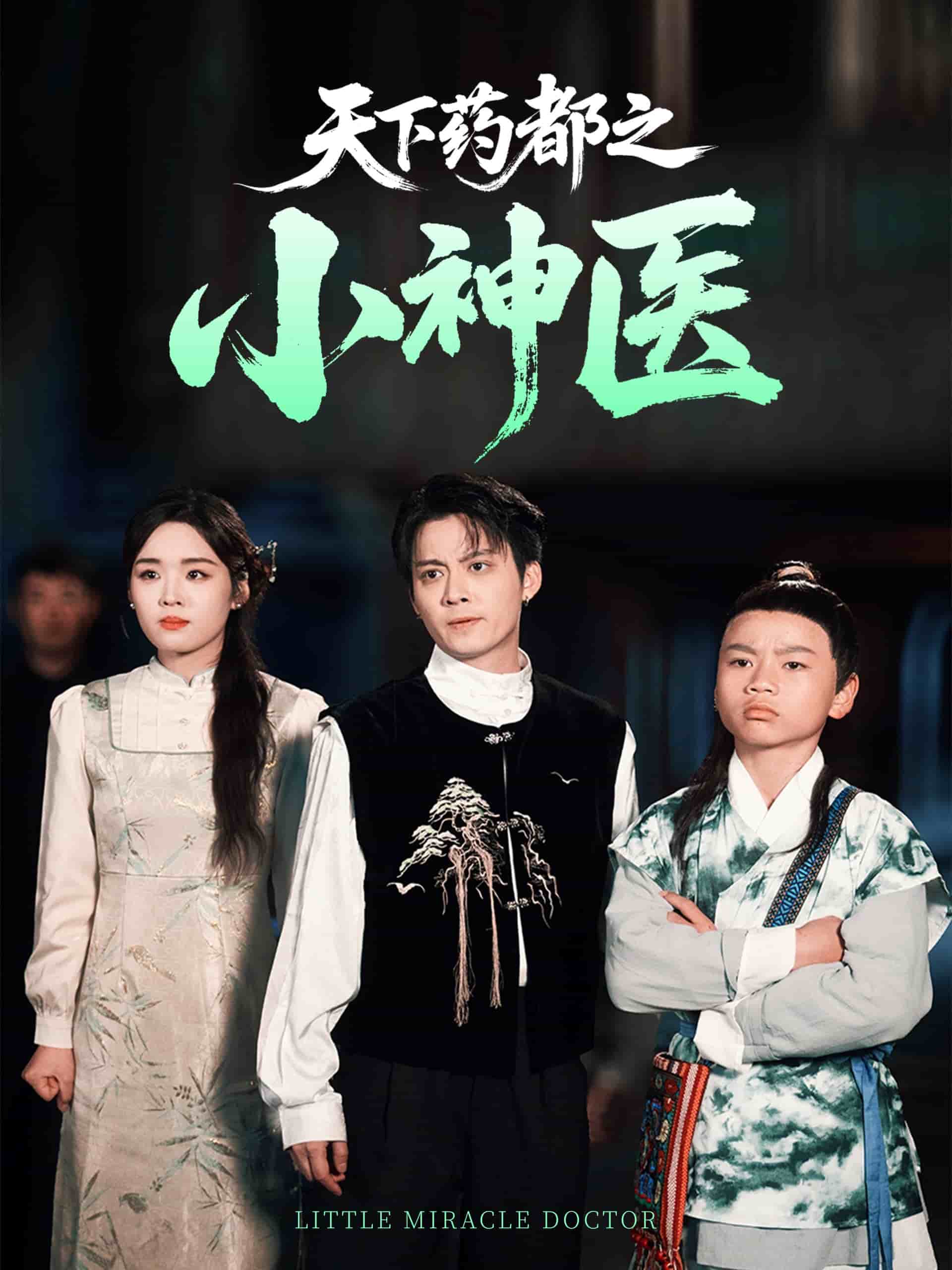 天下药都之小神医第8集