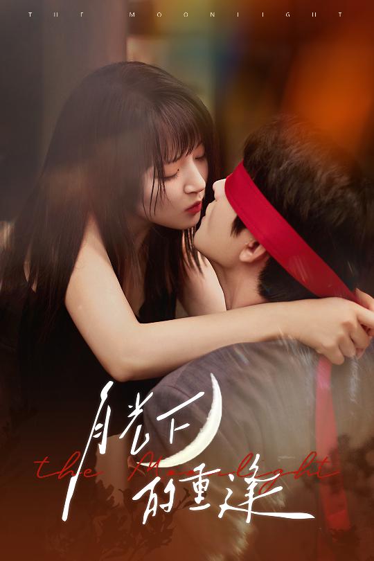 月光下的重逢(全集)