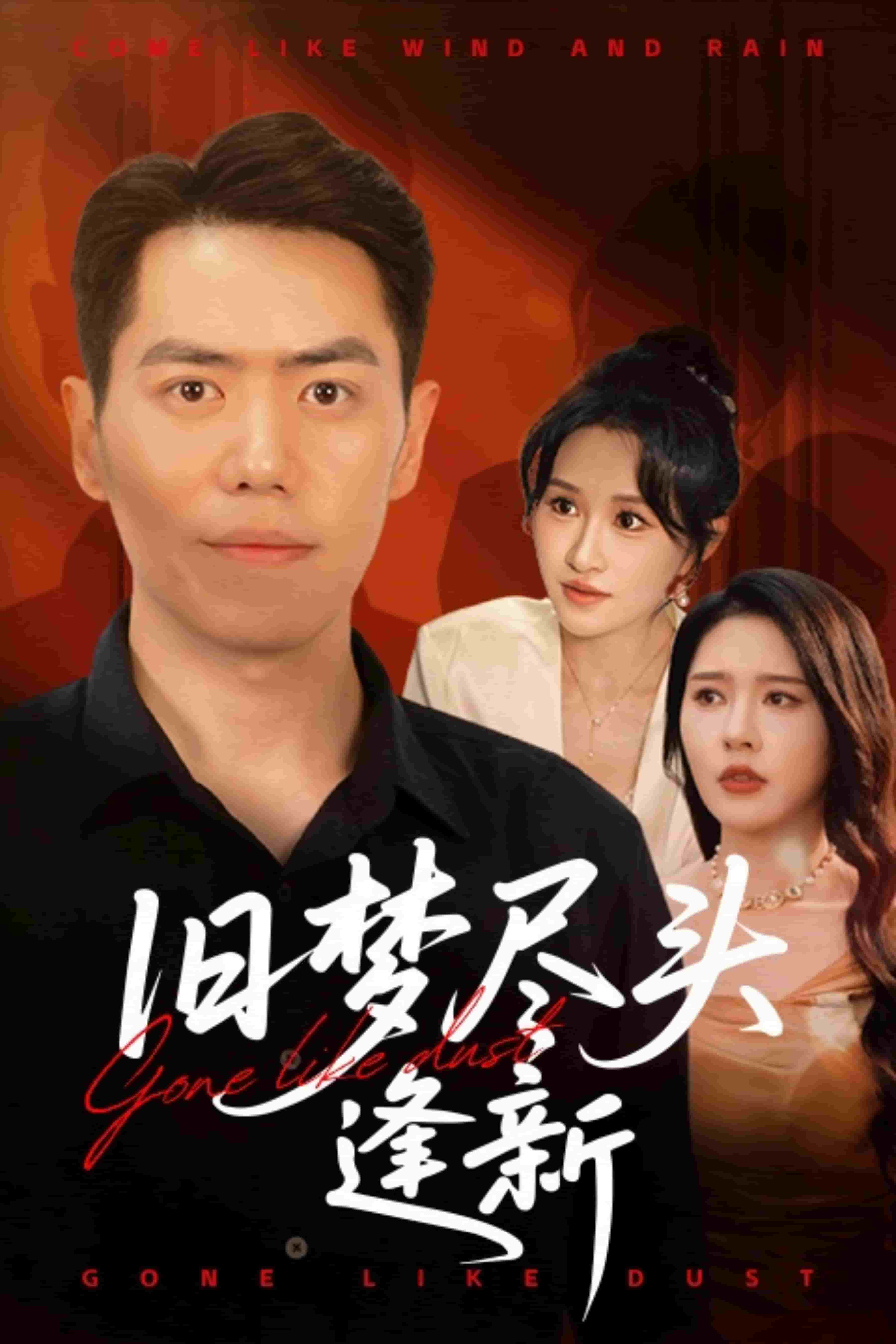 旧梦尽头逢新第16集