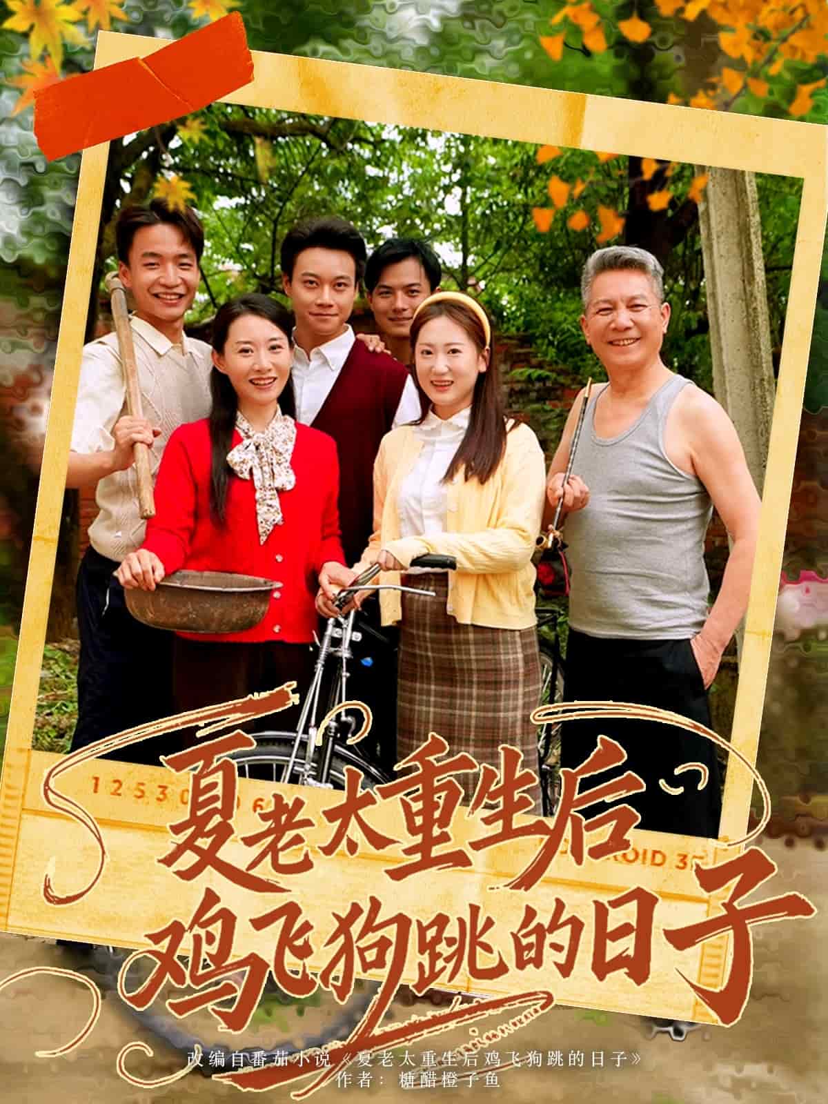 夏老太重生后鸡飞狗跳的日子第30集