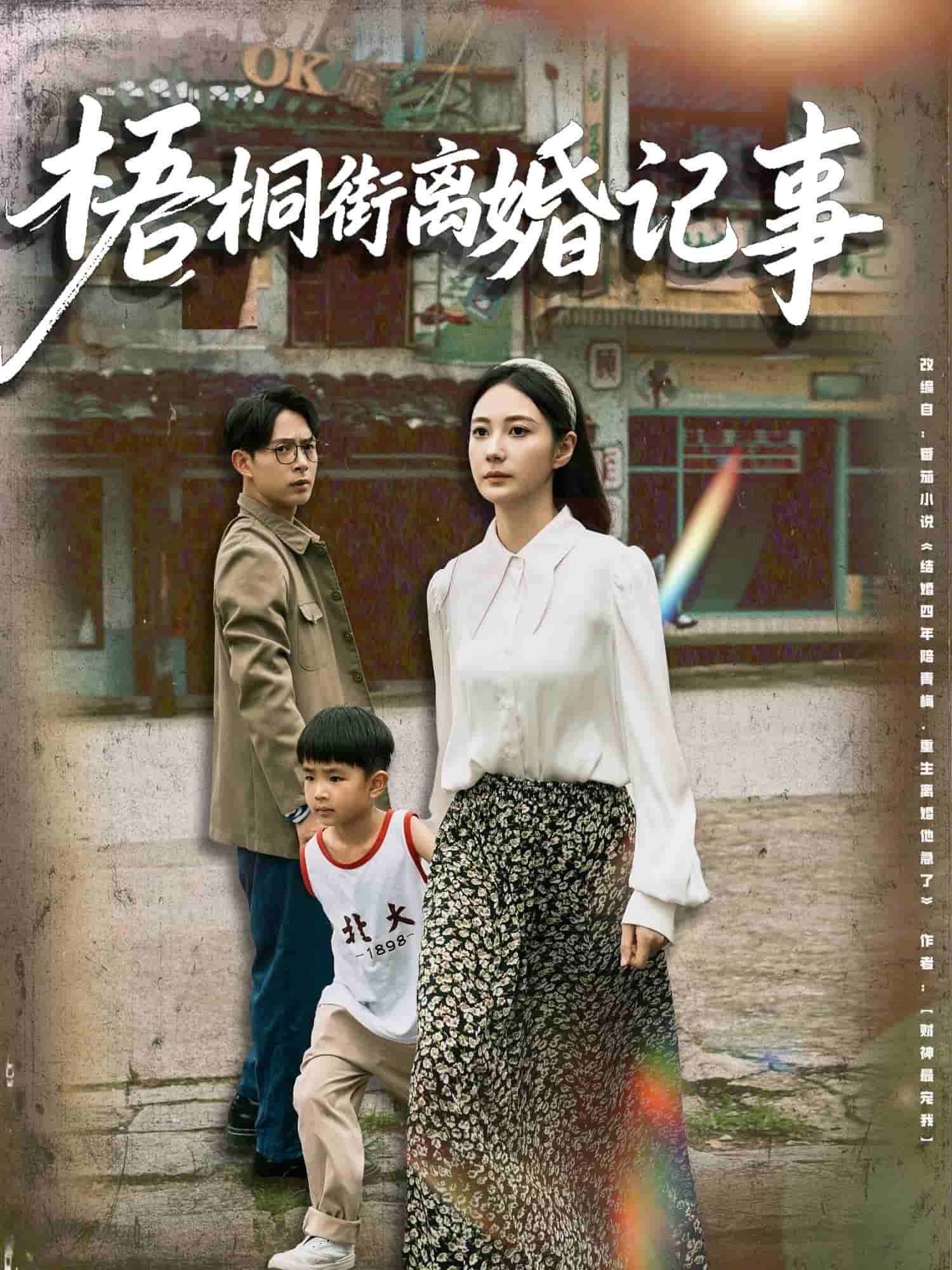 梧桐街离婚记事第11集