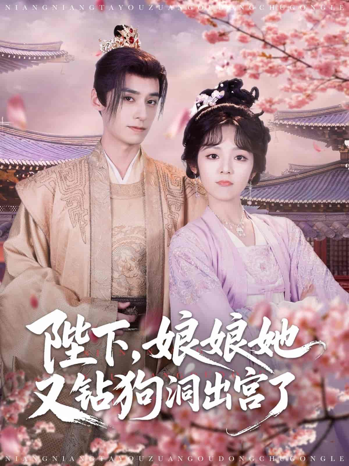 陛下娘娘她又钻狗洞出宫了第68集
