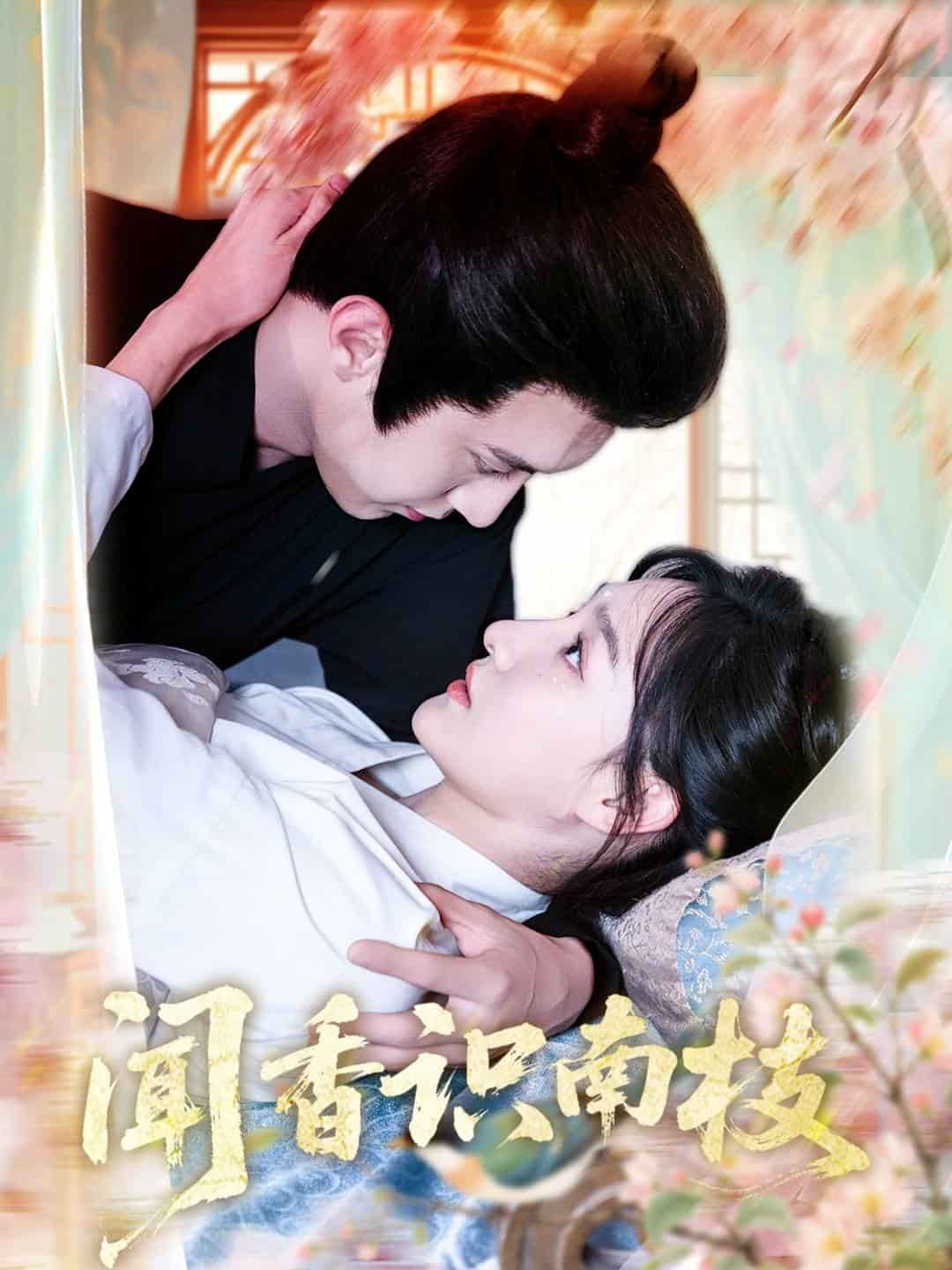 闻香识南枝第19集
