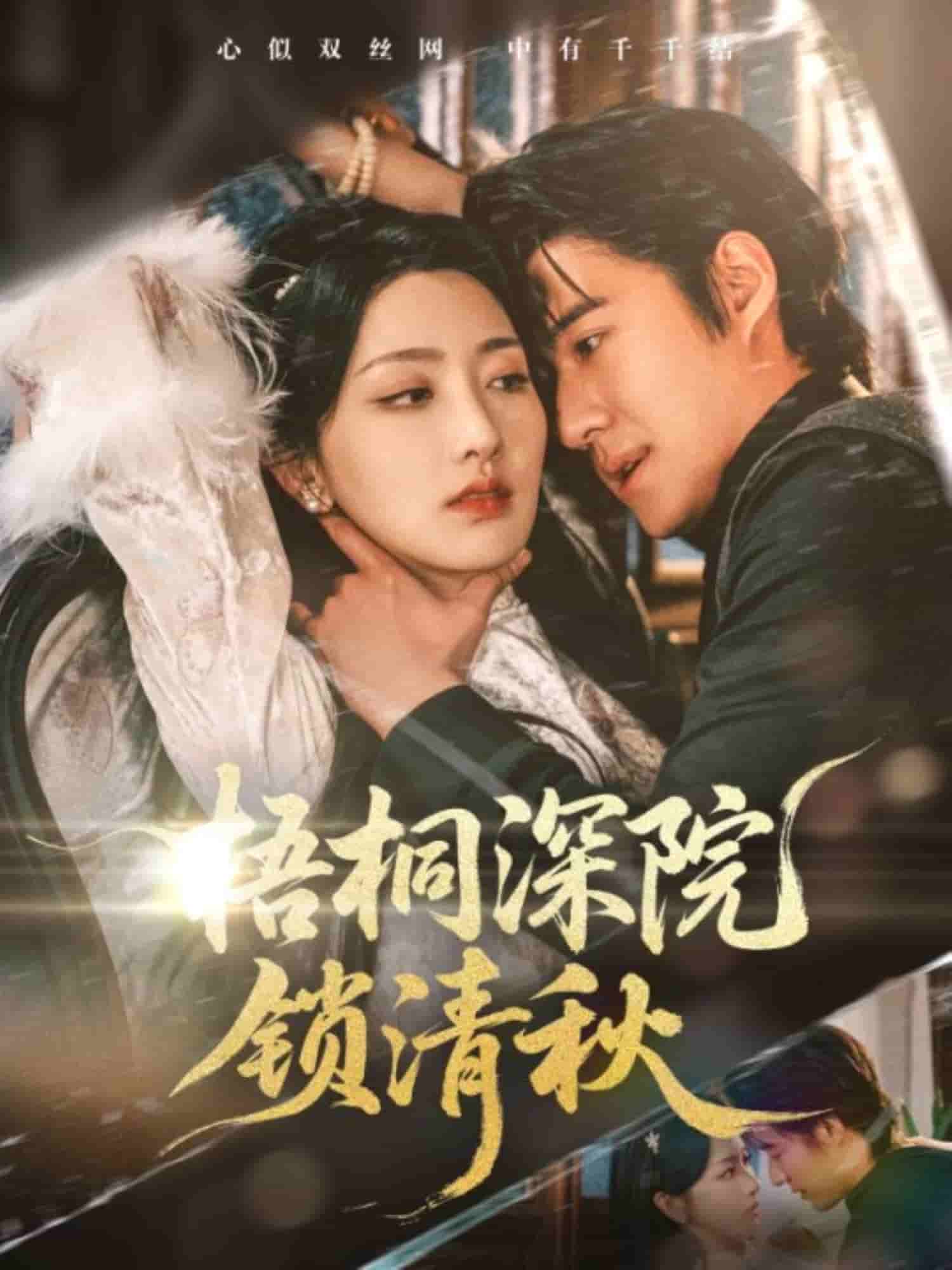 梧桐深院锁清秋第38集