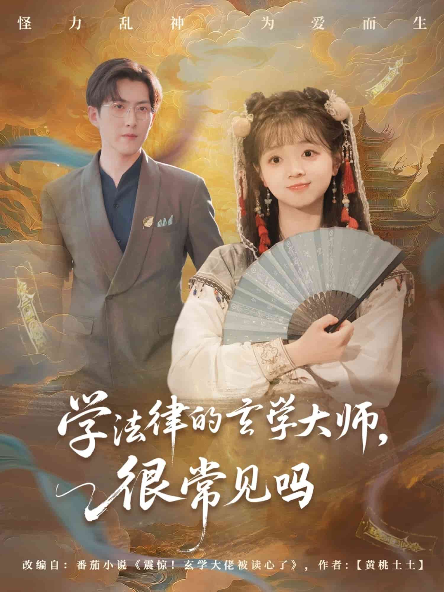 学法律的玄学大师很常见吗第28集