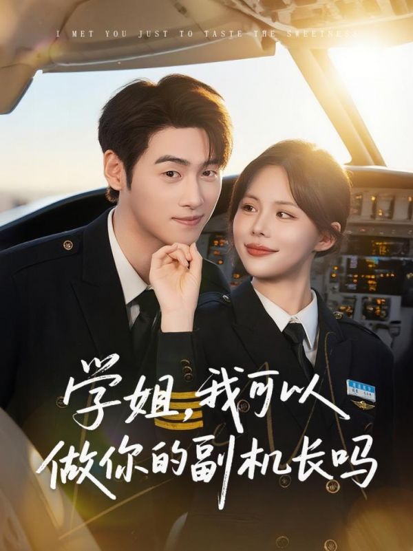 学姐我可以做你的副机长吗第19集
