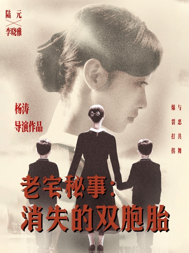 老宅秘事消失的双胞胎第64集
