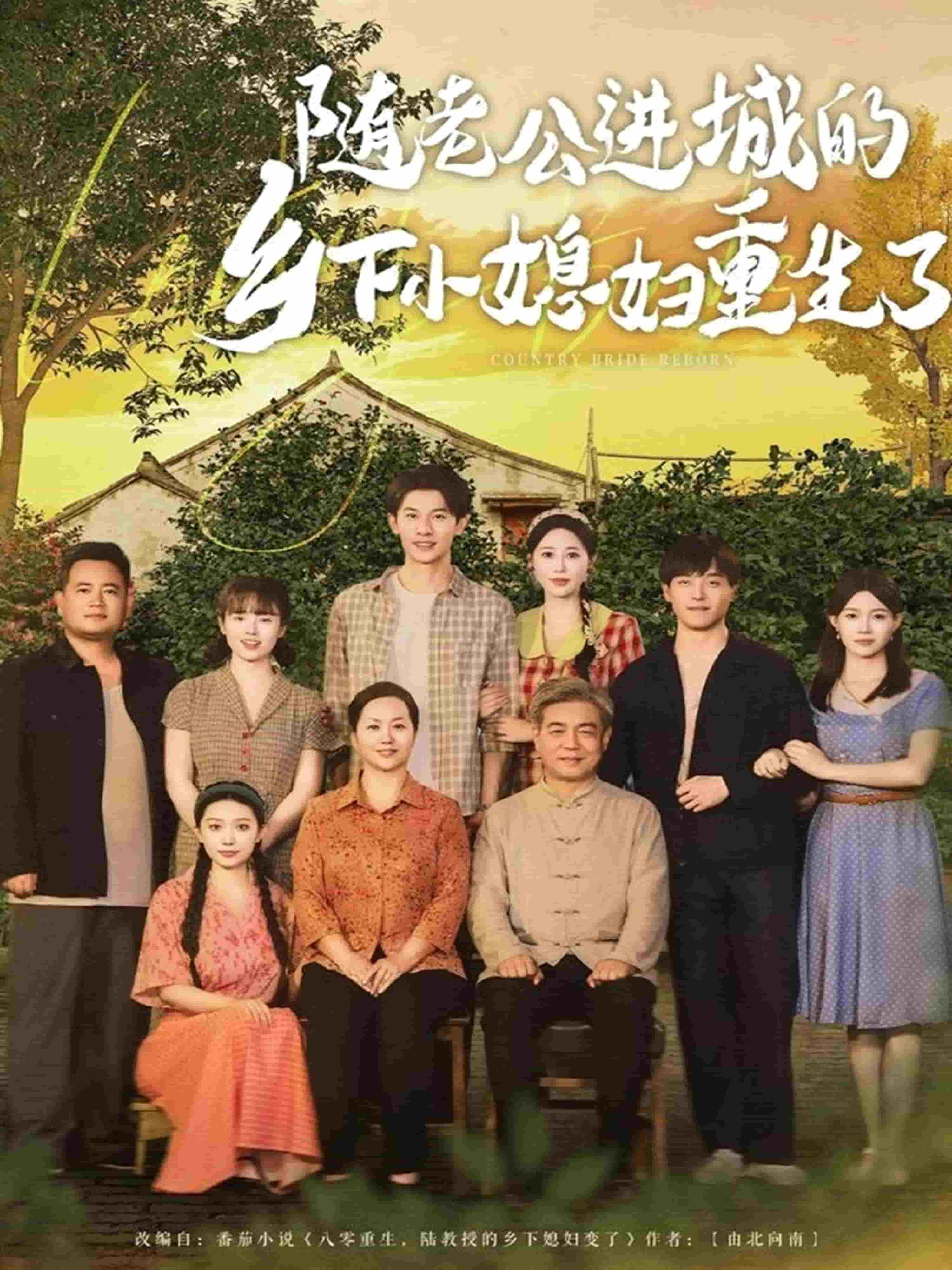 随老公进城的乡下小媳妇重生了第64集
