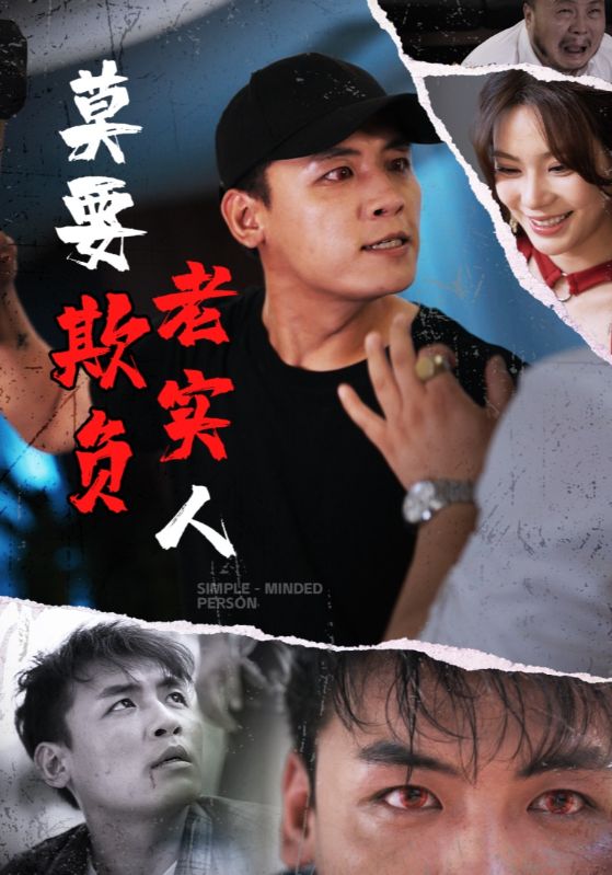莫要欺负老实人第13集
