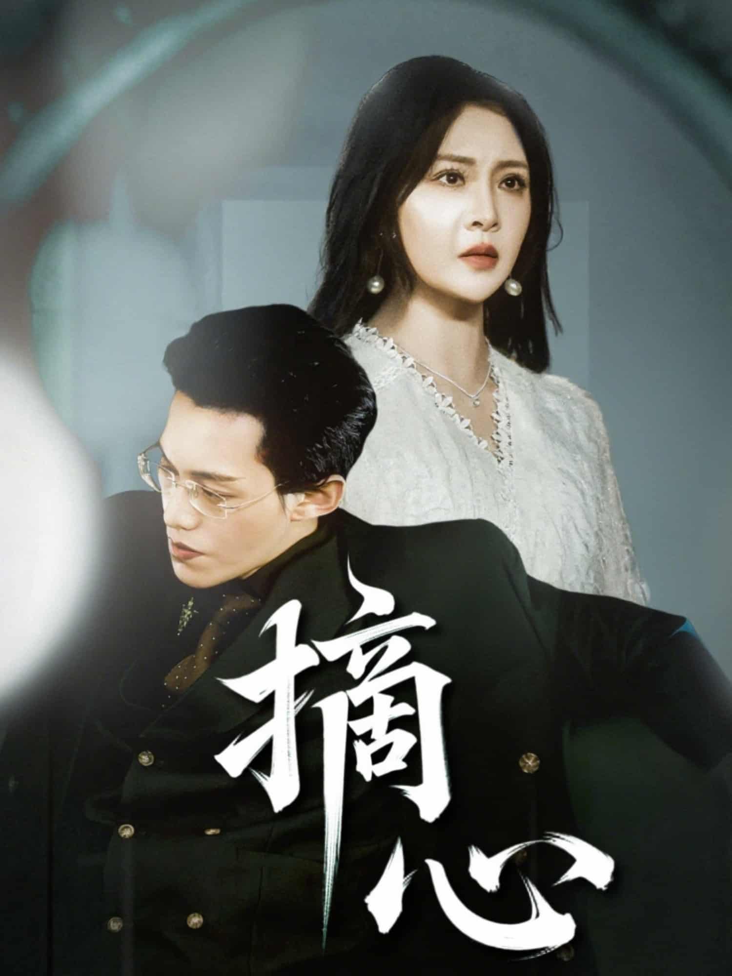 摘心第13集