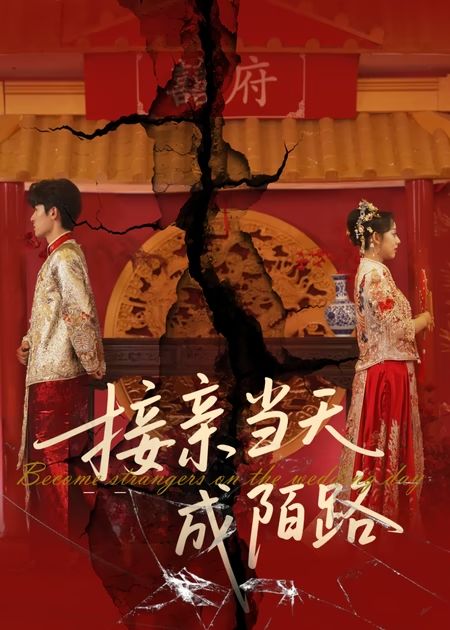 接亲当天成陌路第07集