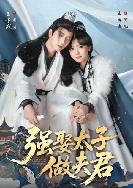 强娶太子做夫君第08集