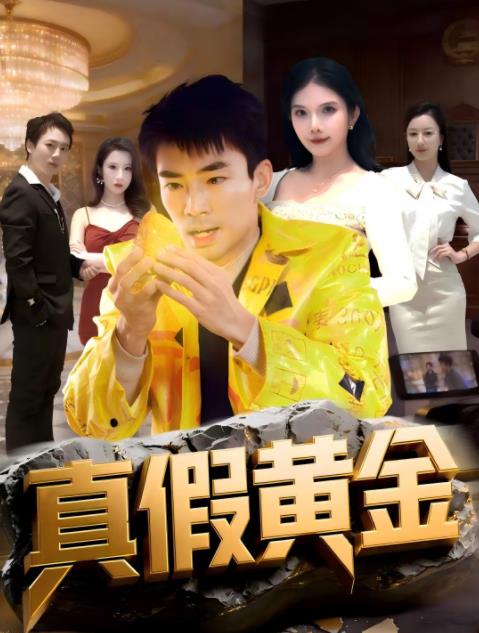 真假黄金第22集