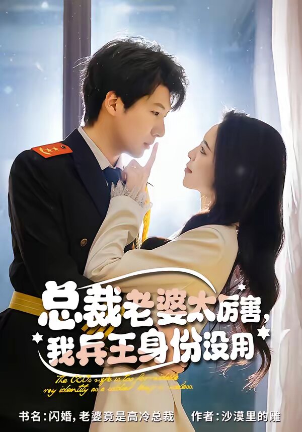 总裁老婆太厉害，我兵王身份没用第23集