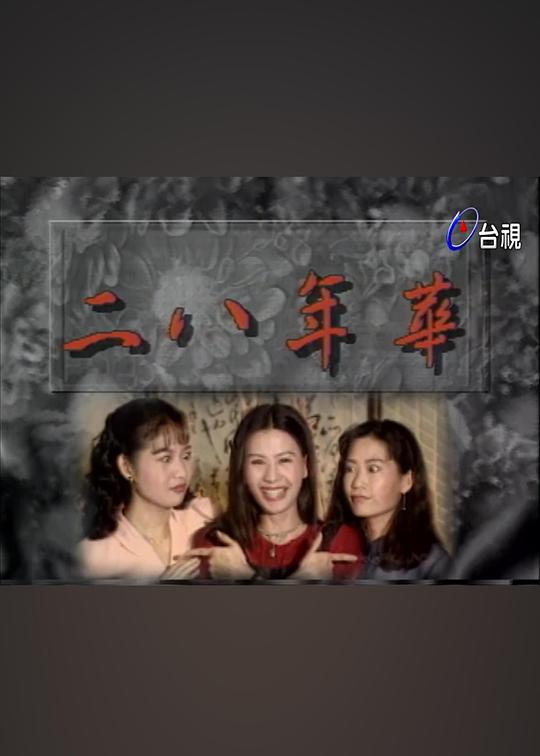 二八年华第09集