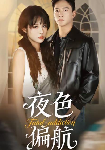 夜色偏航第23集